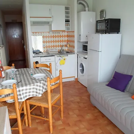 Appartement Cosy A Balaruc-les-bains, Animaux Admis - Fr-1-503-24 *