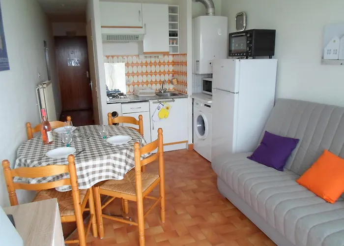 Cosy A Balaruc-les-bains, Animaux Admis - Fr-1-503-24 *